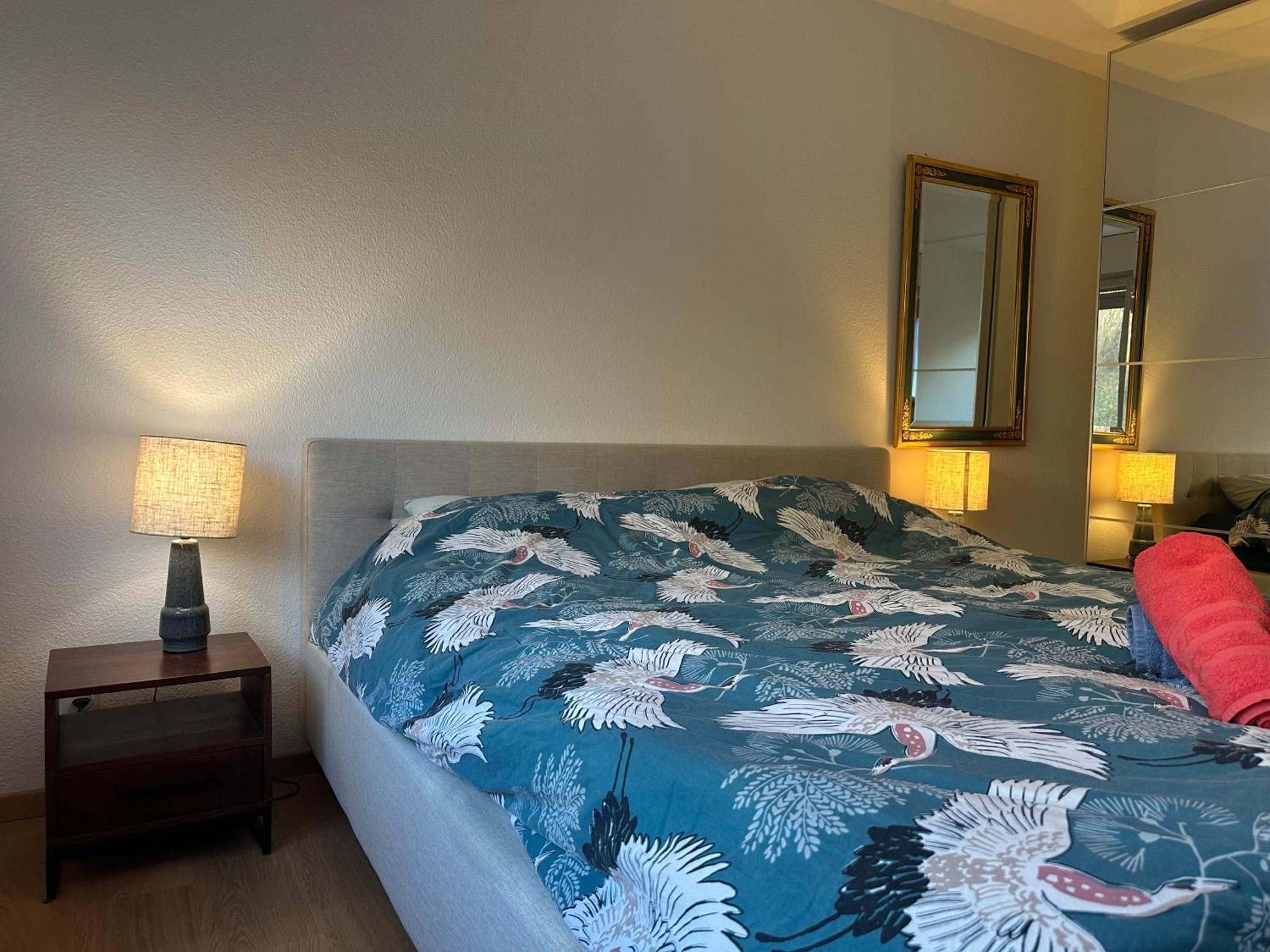 Lovely Room, 15 Min From Center, Mountain View Zürich Eksteriør billede