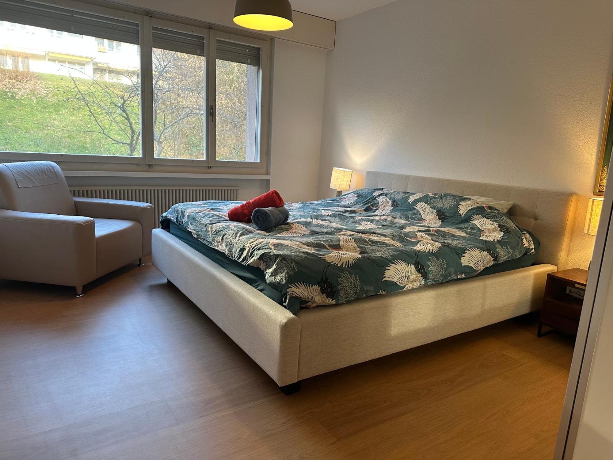 Lovely Room, 15 Min From Center, Mountain View Zürich Eksteriør billede
